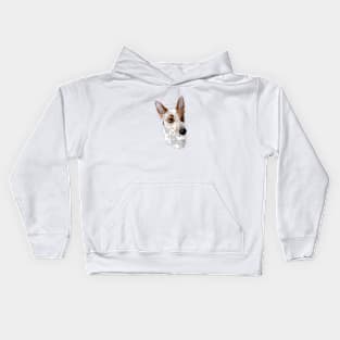 Remi Kids Hoodie